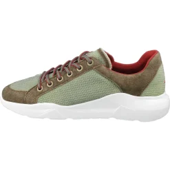 Shop Herren Sneaker Oben, Grün- Herren Schuhe